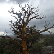 MonoBasin 065 : MonoBasin